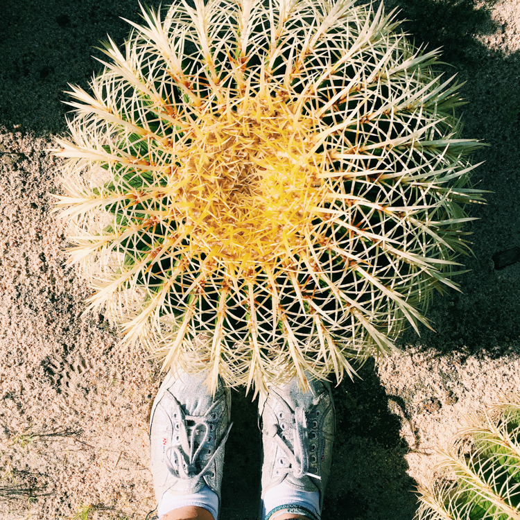 Processed with VSCOcam with c1 preset