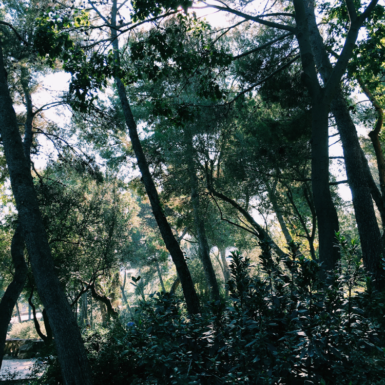 Processed with VSCOcam with c1 preset