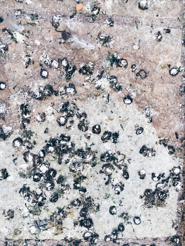 Ich zeige euch, wie ich an neue Ideen für Zeichnungen und Modedesigns komme. Mir helfen Strukturen, die ich dann verändere, am meisten. Erfahrt wie genau! | Hermine on walk | structures | pattern | monochromatic structure